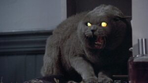 Pet Sematary (1989)