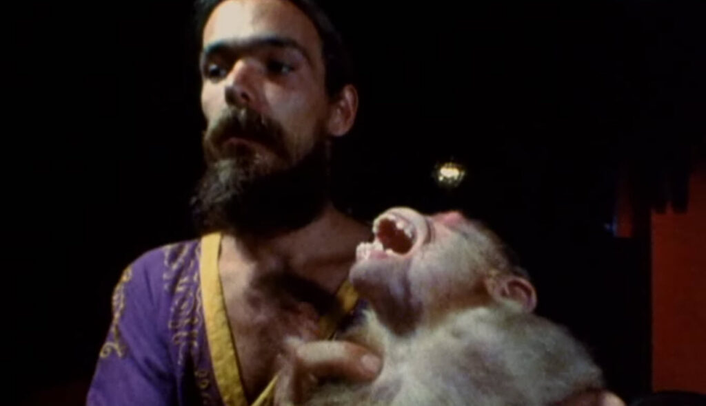 Selling the Spectacle of Death: The Enduring Infamy of Faces of Death