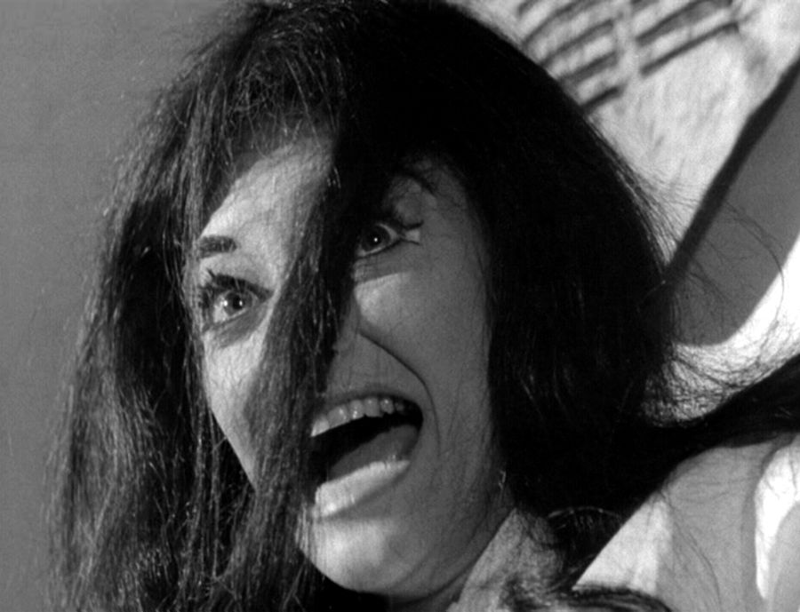 Grindhouse Fest: Confessions of a Psycho Cat (1968)